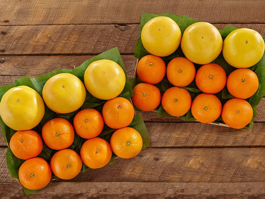 shc24-navelgrapefruit_03.jpg