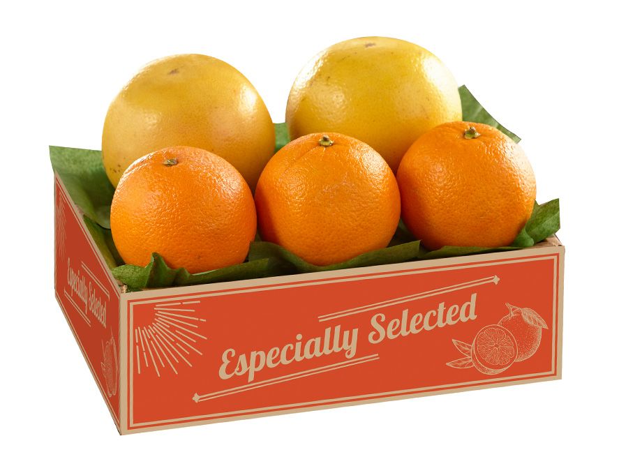 shc24-navelgrapefruit_05.jpg