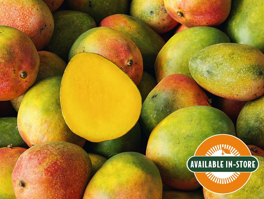 shc24-tropicalmangos_01.jpg